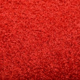 Dørmatte vaskbar rød 40×60 cm