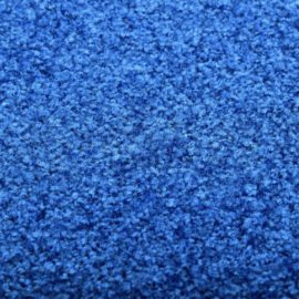 Dørmatte vaskbar blå 40×60 cm