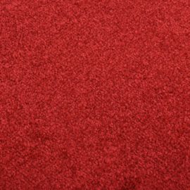 Dørmatte rød 80×120 cm